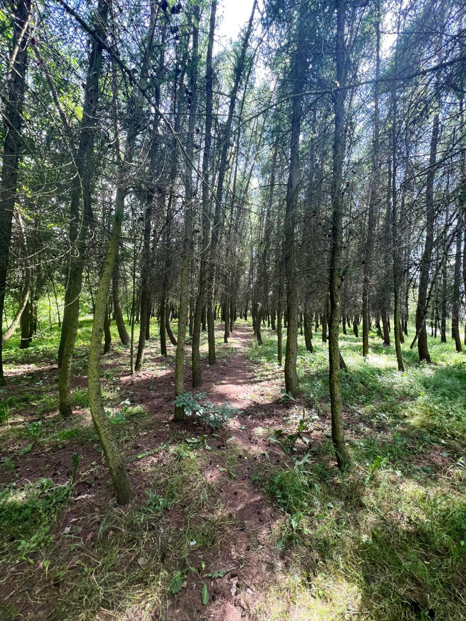 Apartament Podedworze Bochnia Zewnętrze zdjęcie